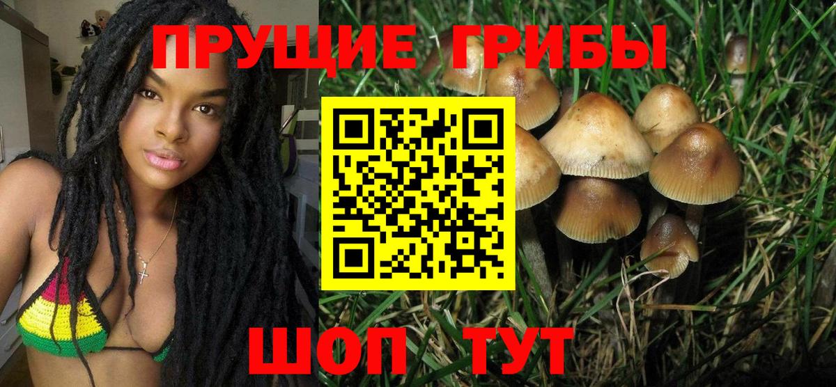 Салават  Псилоцибиновые грибы GOLDEN TEACHER  цена наркотик  Вход с VPN 
