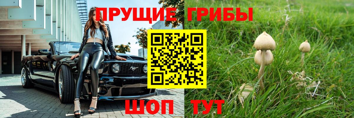 Псилоцибиновые грибы GOLDEN TEACHER Салават